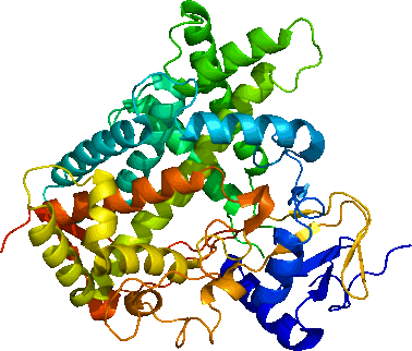 5Protein CYP2C19 PDB 1r9o